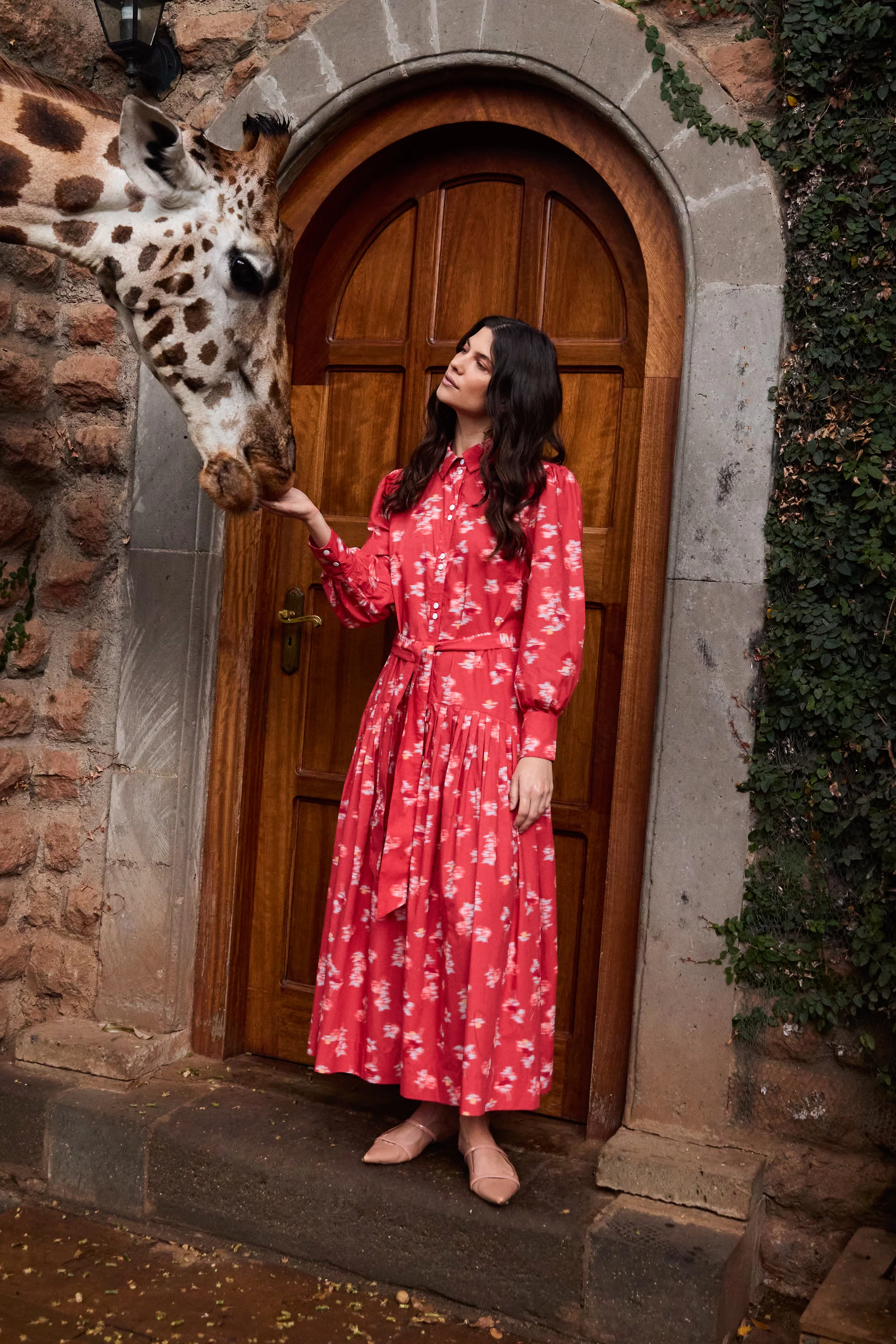 Nora Dress- Lebombo Rust - Image 4